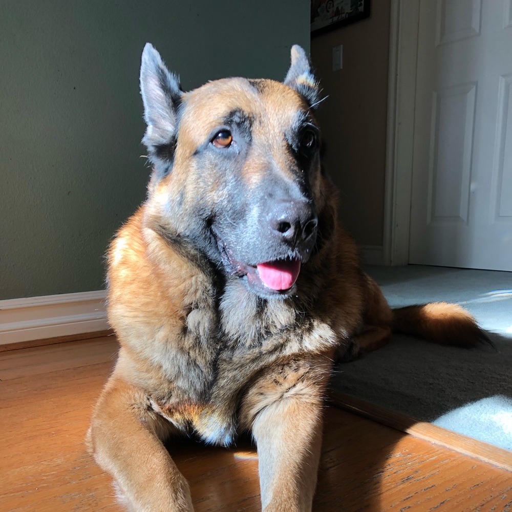 Meet your Posher, Haley